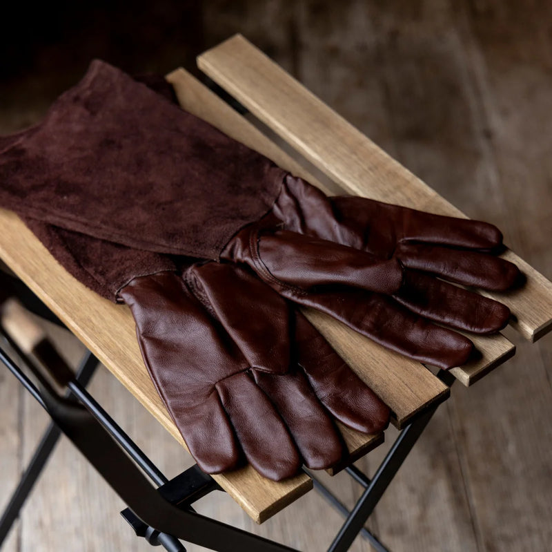 Thorn Proof Gloves