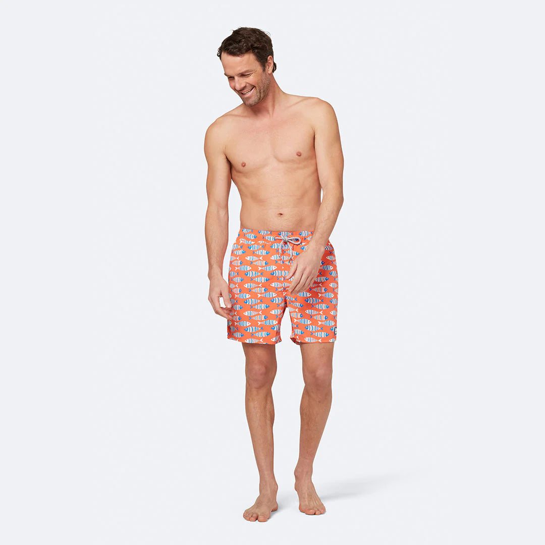 Swim Shorts / Striped Fish